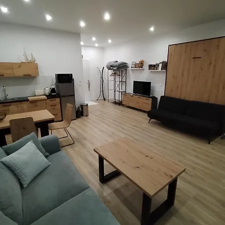 Grand Studio Spacieux Et Climatise Appartement *